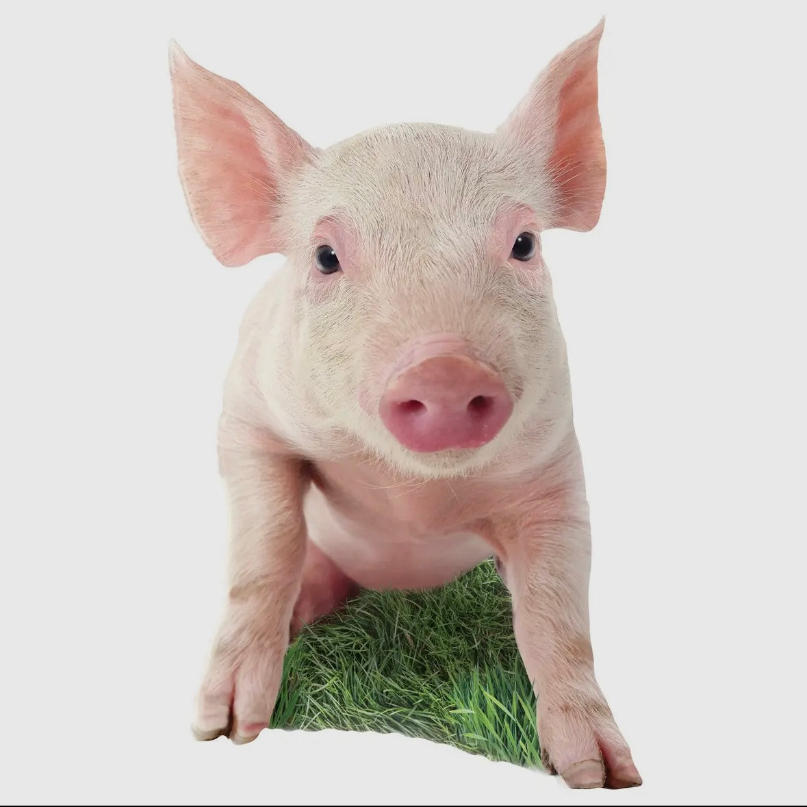 Masterpieces Puzzles - Pig 100pc Shaped Puzzle