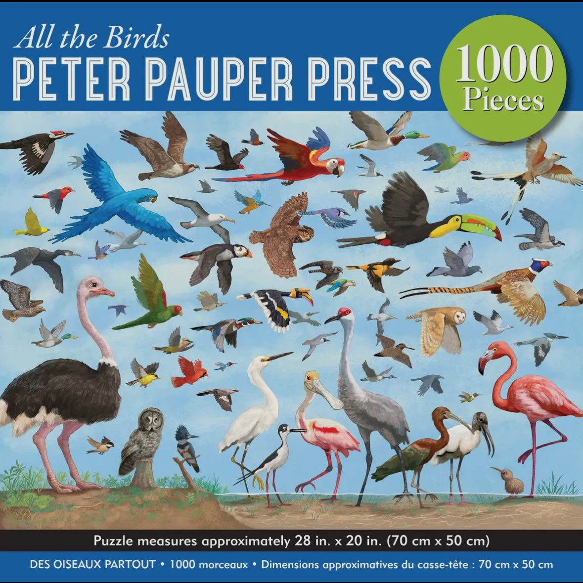 Puzzle - All the Birds