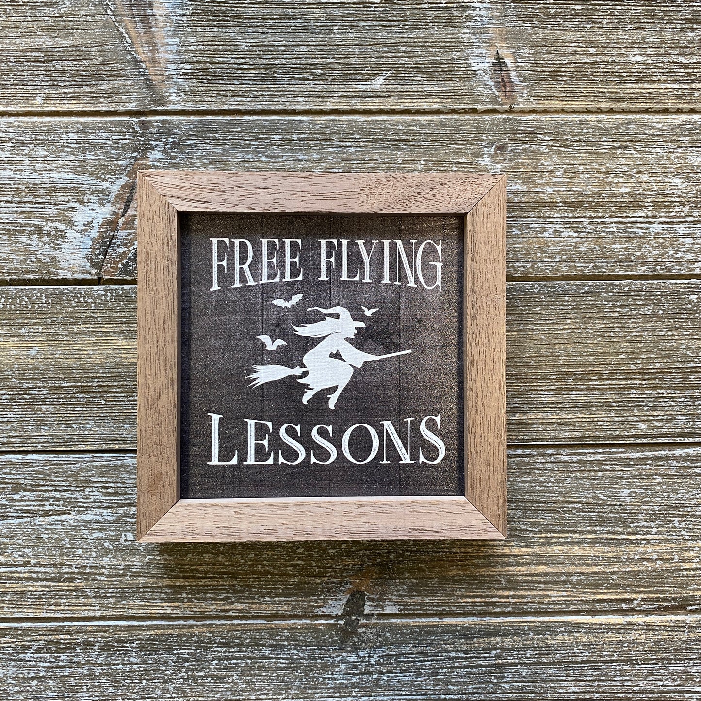 Free Flying Lessons Witch Sign