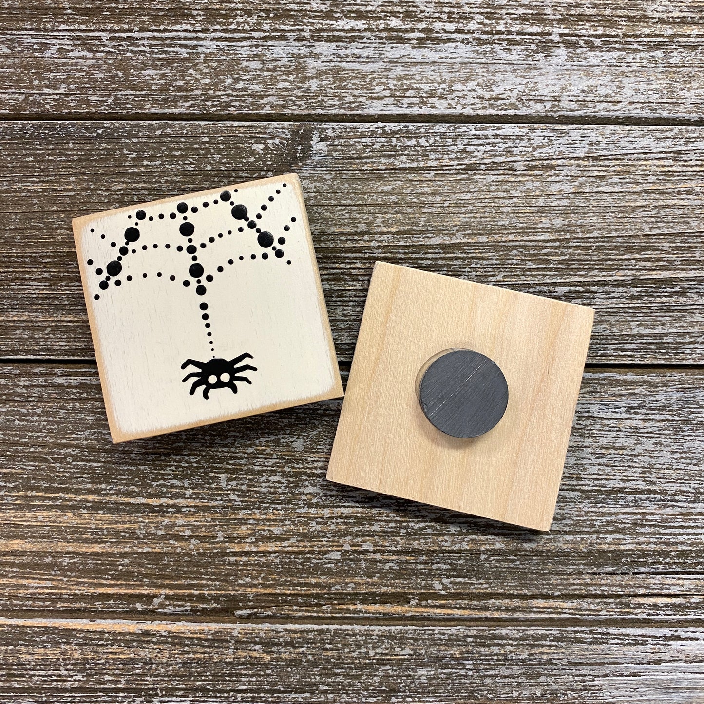 Magnet - Black and White Spider