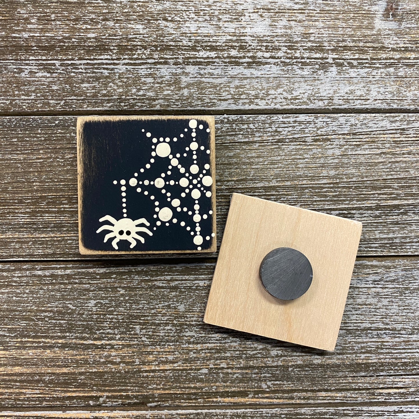Magnet - Black and White Spider