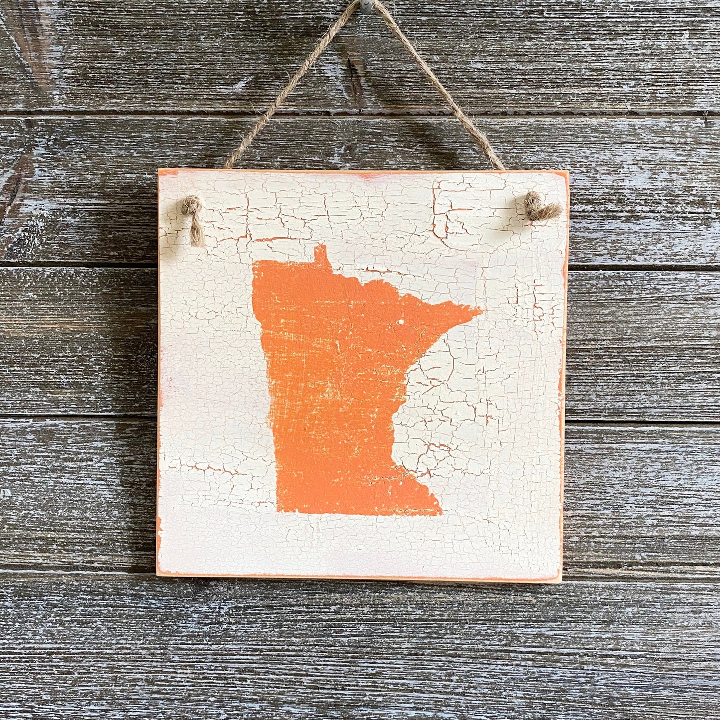 Minnesota Wall Decor - Crackle Minnesota Decor - Coral Minnesota Decor