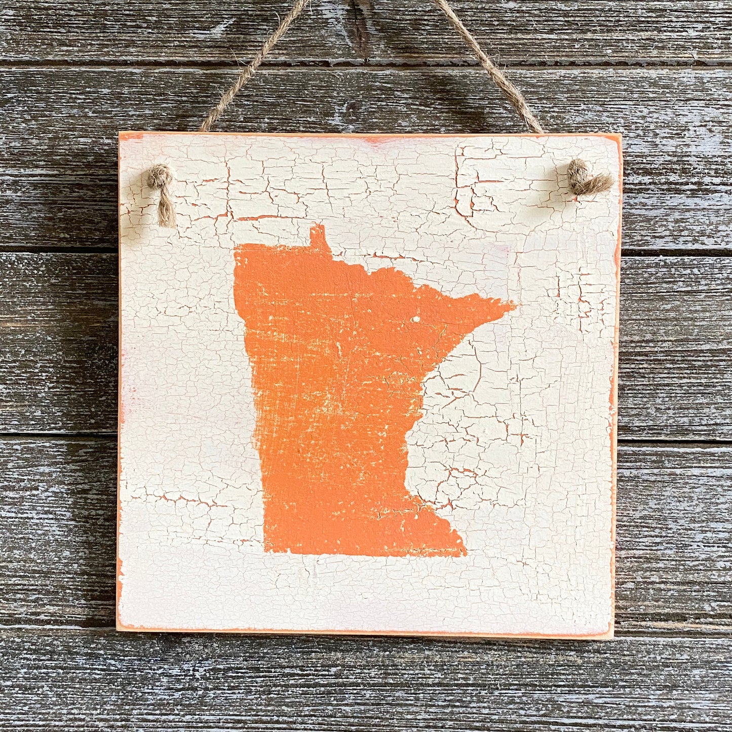 Minnesota Wall Decor - Crackle Minnesota Decor - Coral Minnesota Decor
