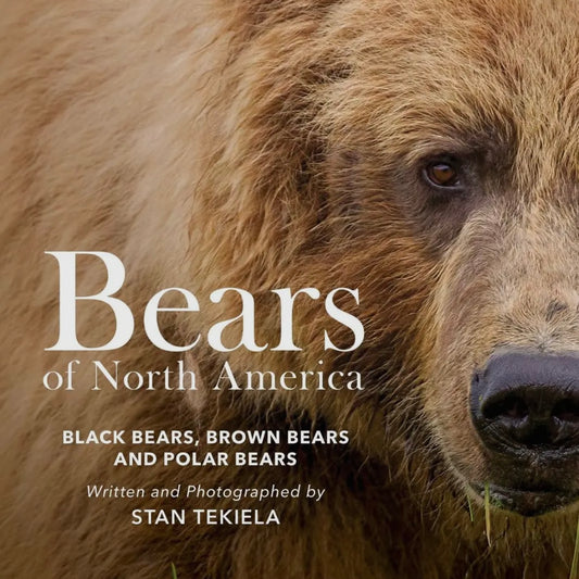 Book - Bears of North America
