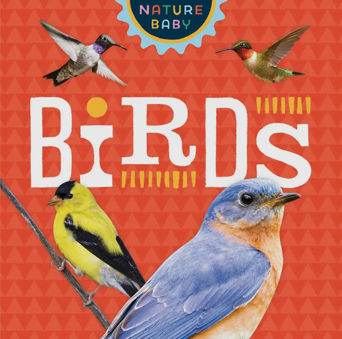 Book - Nature Baby: Birds