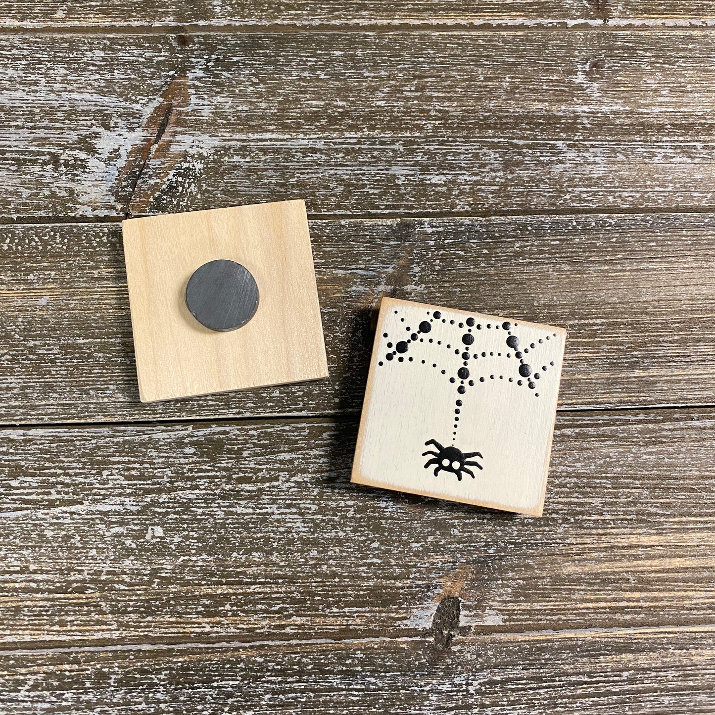 Magnet - Black and White Spider