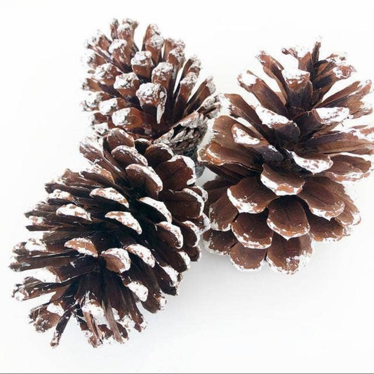 Foundations Decor - 3pc Pinecone Tray Decor