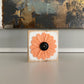 Felt Flower Decor - White and Coral