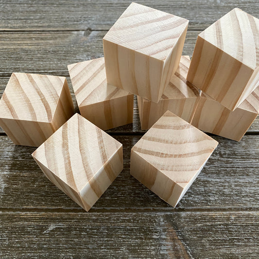 Unfinished Wood Blocks for Crafts - 8 pc set